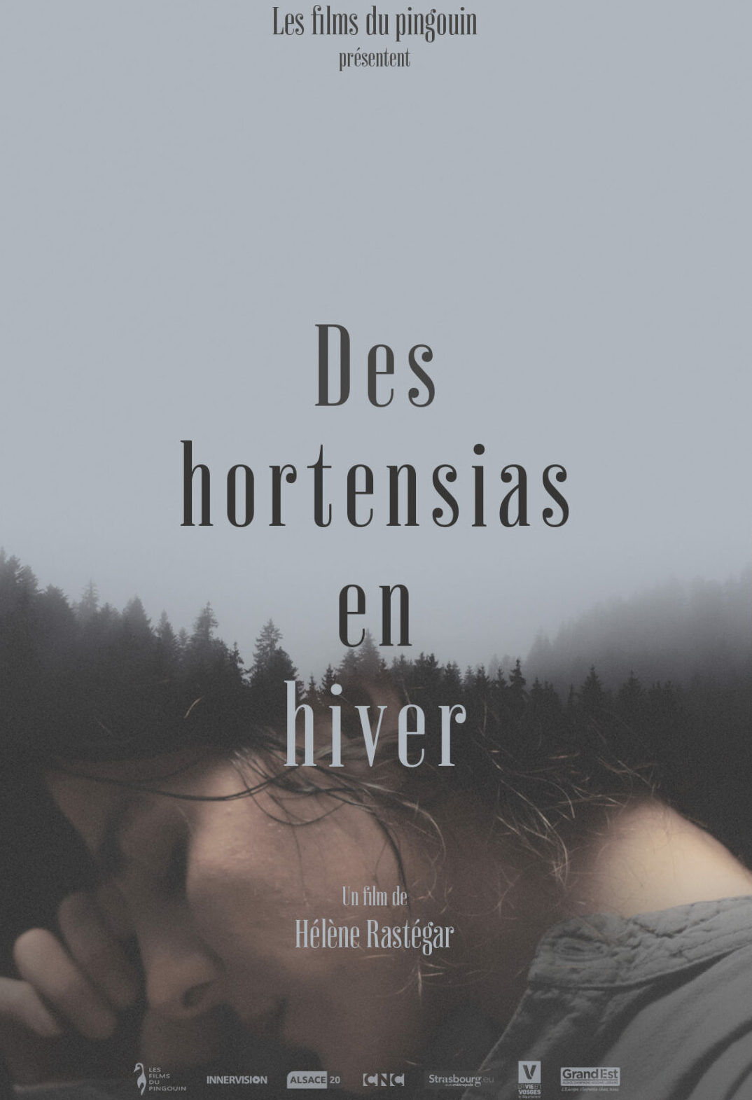 DES HORTENSIAS EN HIVER